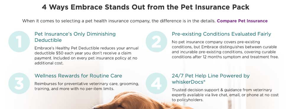 embrace pet insurance pack