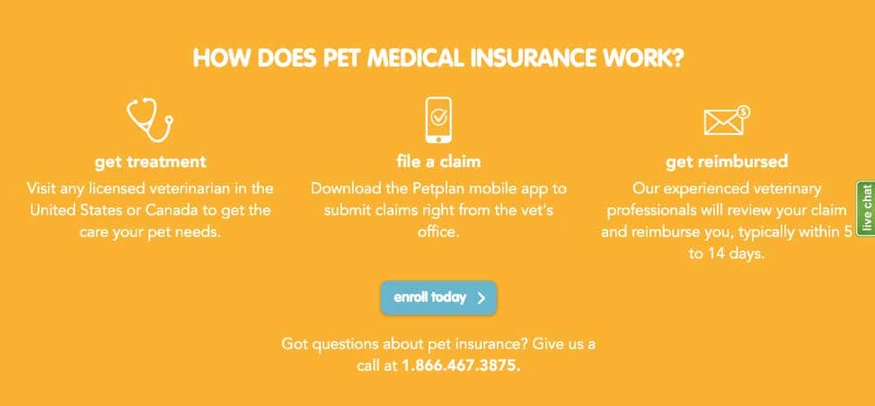 how does pet medical insurance work - petplan 